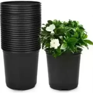 Pot-Nusery Black Pot- 8 inch