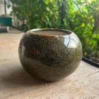Pot ceramic Designer cates eye - 5 inch