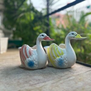 Pot  Duck -6 inch (2nos.)