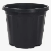 Pot-Nusery Black Pot- 10 inch