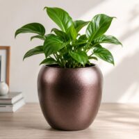 Pot Iron Vase Antique Finish 5"