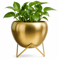 Gold Plated Metal finish Pot with Stand – 5"Diameter