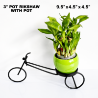 Pot Rikshaw- 3''