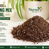 Premium Potting Mix- Loose 1 Kg
